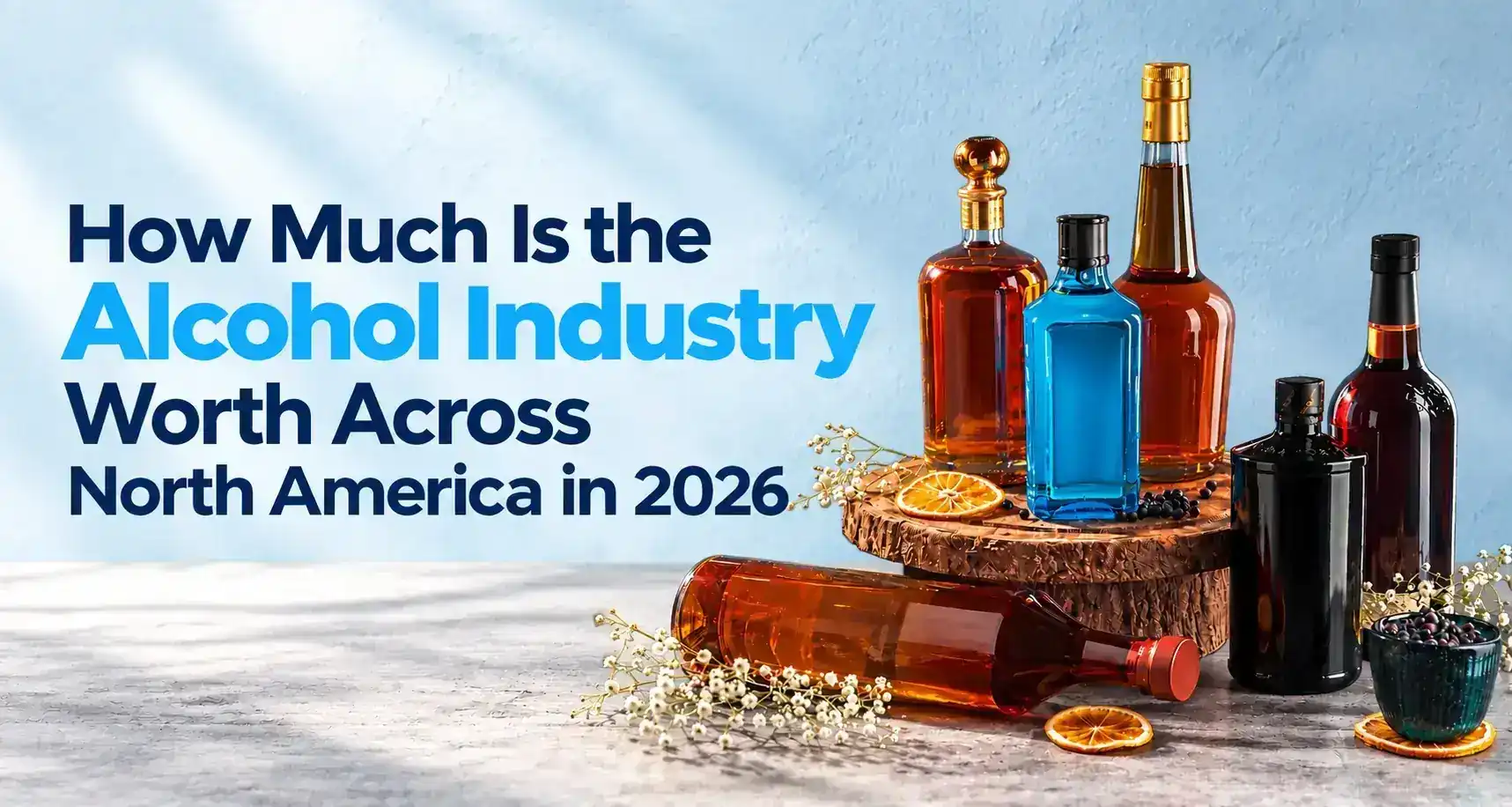 North America’s Alcohol Demand Is Splitting Across Premium RTDs and Moderation