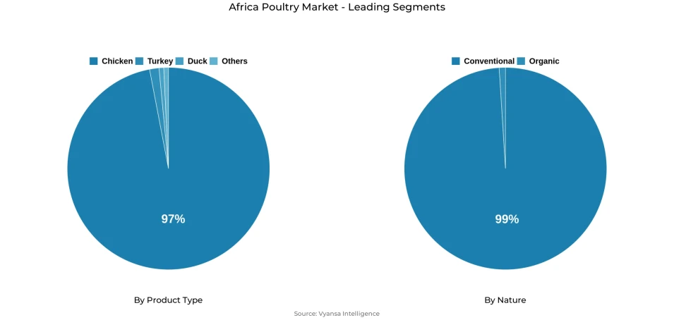 Pie chart showing africa poultry market segmentation