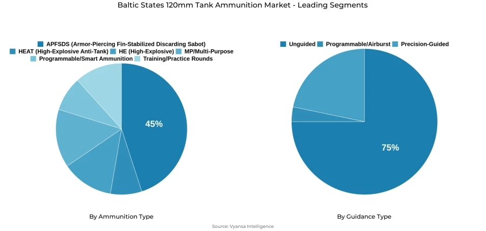 Baltic States 120mm tank ammunition market segmentation overview Pie chart showing Baltic States 120mm tank ammunition market segmentation by ammunition type and guidance type