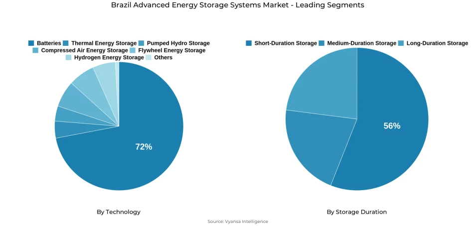 Pie chart showing brazil advanced energy storage systems market segmentation