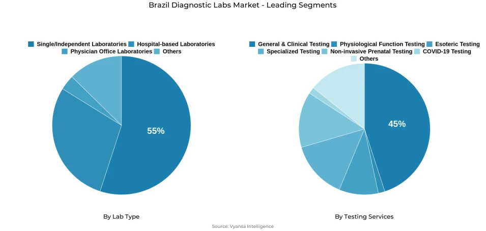 Pie chart showing Brazil diagnostic labs market segmentation by lab type and testing services