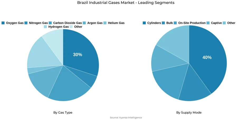 Brazil industrial gases market segmentation overview Pie chart showing Brazil industrial gases market segmentation by gas type and supply mode