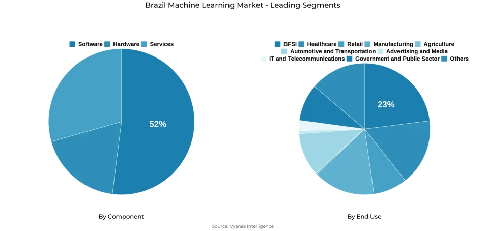 Pie chart showing brazil machine learning market segmentation