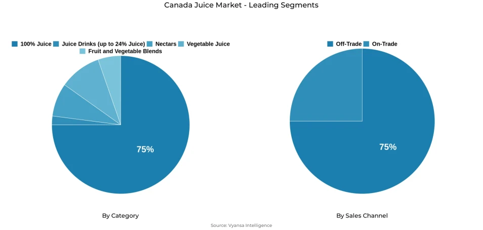 Pie chart showing Canada juice market segmentation by category and sales channel