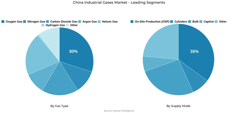 Pie chart showing China industrial gases market segmentation by gas type and supply mode