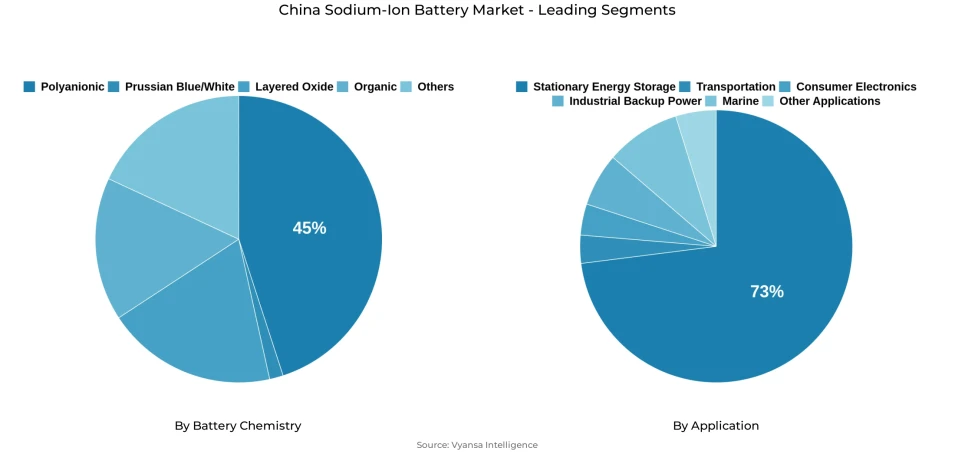 China Sodium-Ion Battery Market Segmentation Overview Pie chart showing china sodium-ion battery market segmentation