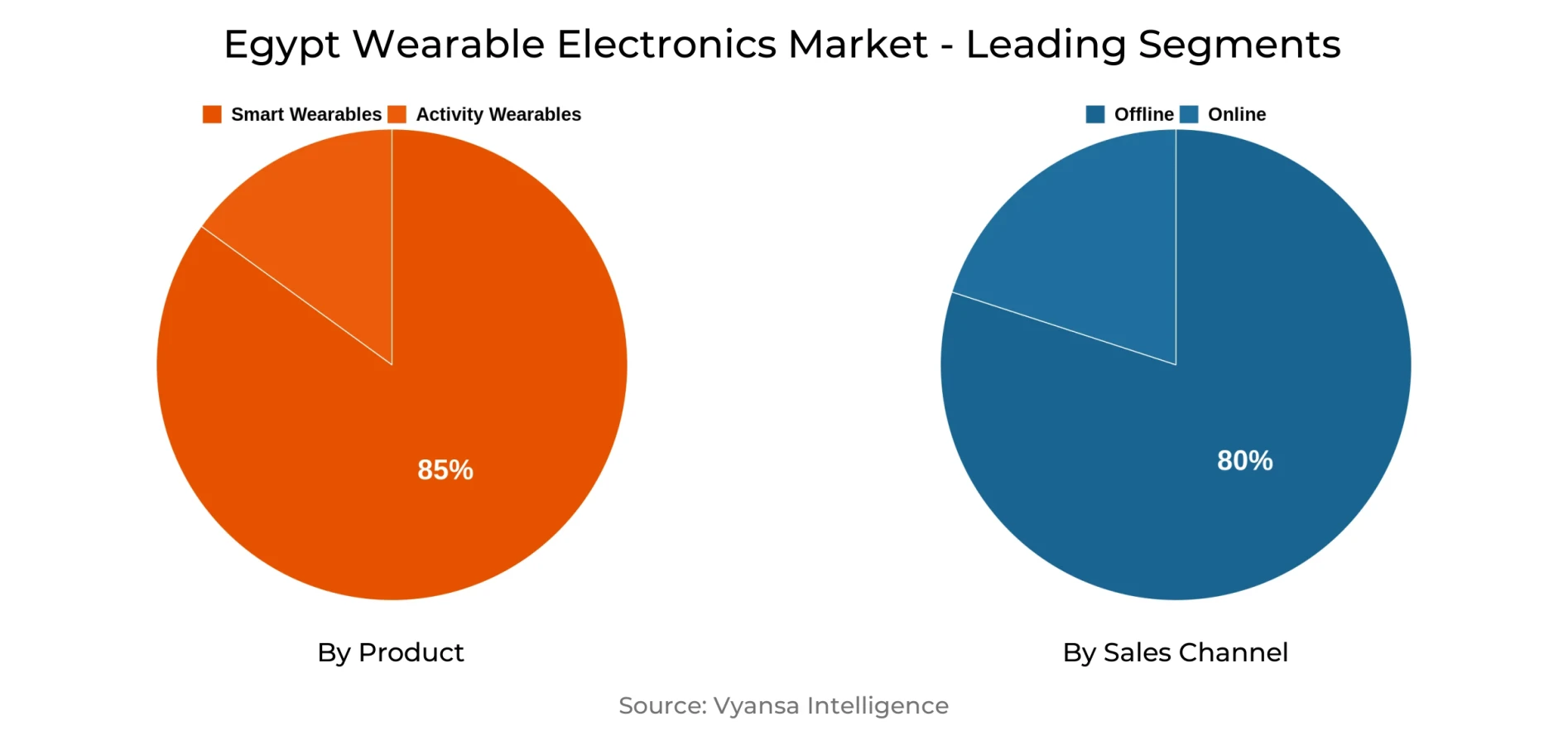 Egypt Wearable Electronics Market Segment