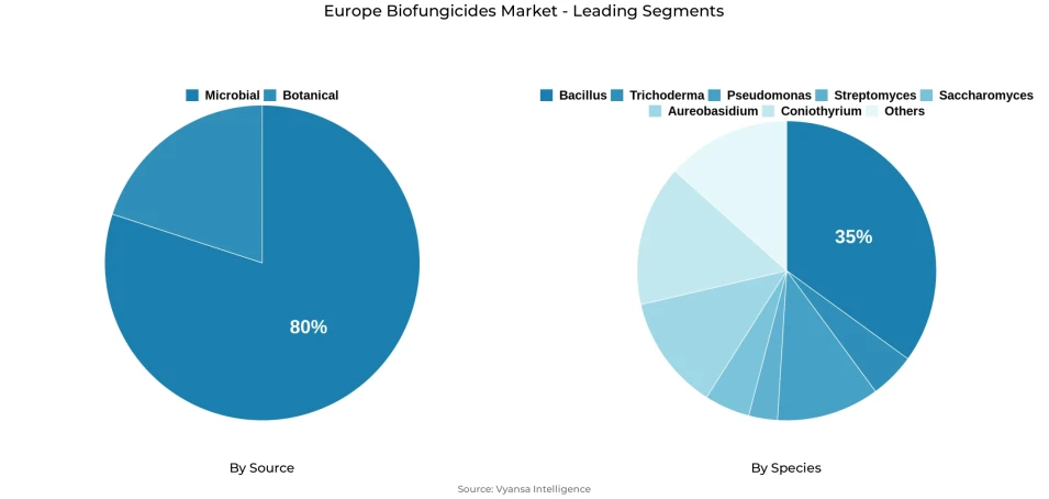 Europe biofungicides market segmentation overview Pie chart showing Europe biofungicides market segmentation by source and species