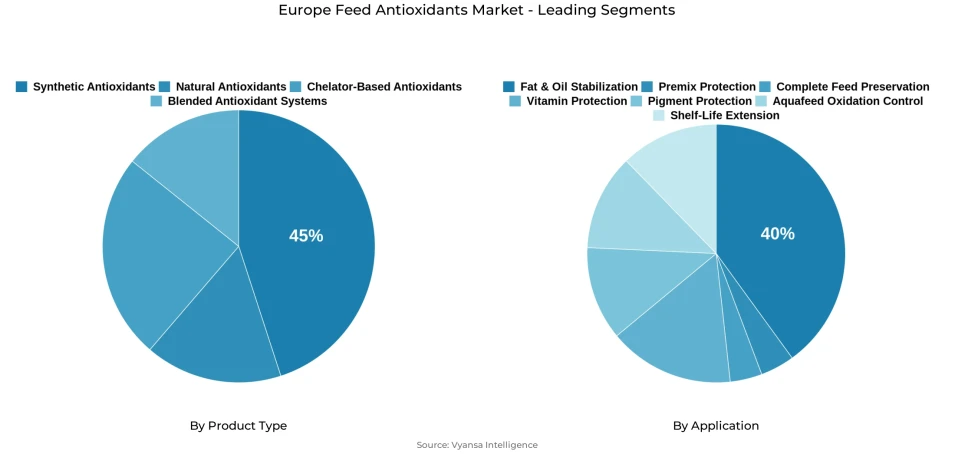 Europe feed antioxidants market segmentation overview Pie chart showing Europe feed antioxidants market segmentation by product type and application