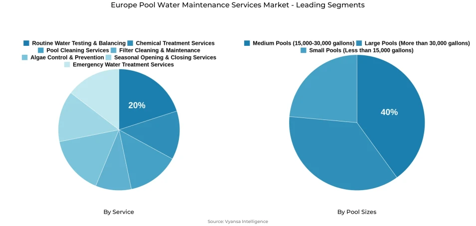 Pie chart showing Europe pool water maintenance services market segmentation by service and pool sizes