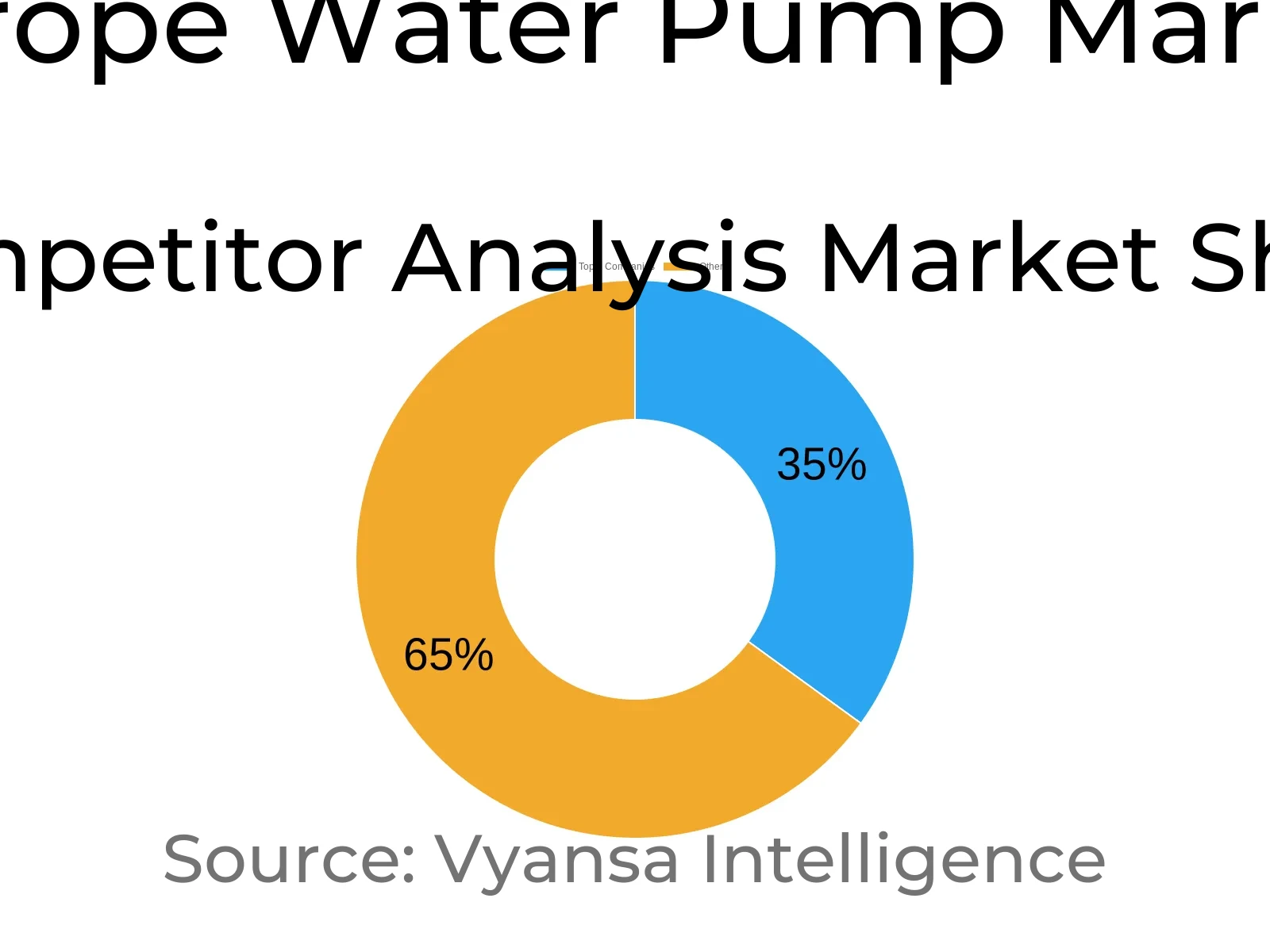 Europe Water Pump Market Competative Analysis
