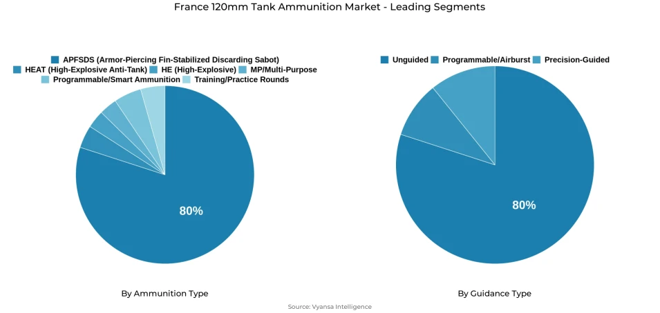 Pie chart showing France 120mm tank ammunition market segmentation by ammunition type and guidance type