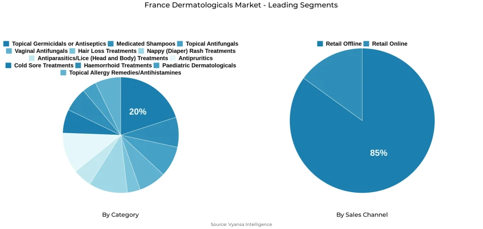Pie chart showing France dermatologicals market segmentation by category and sales channel