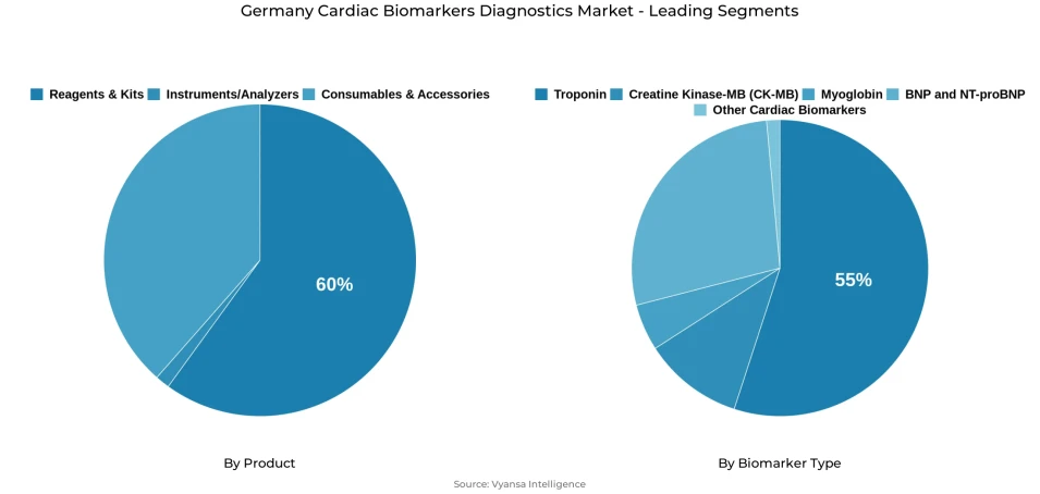 Germany cardiac biomarkers diagnostics market segmentation overview Pie chart showing Germany cardiac biomarkers diagnostics market segmentation by product and biomarker type