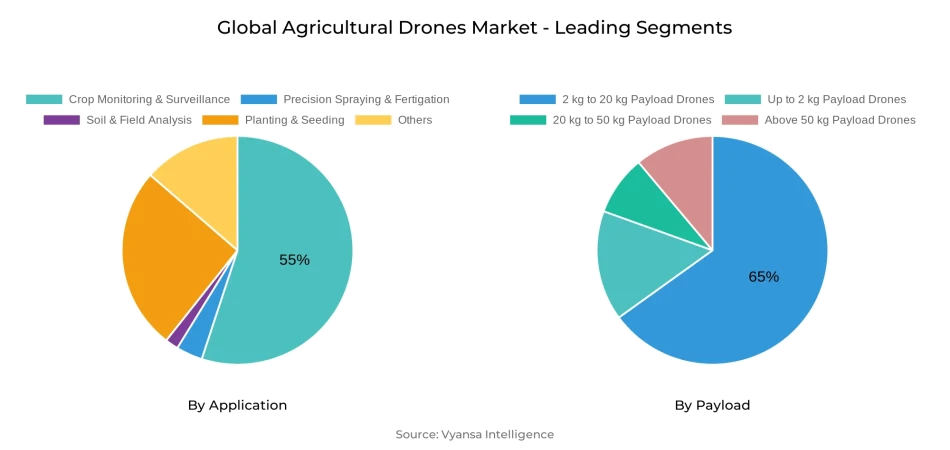 Global Agricultural Drones Market Segment