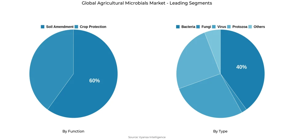 Global agricultural microbials market segmentation overview Pie chart showing global agricultural microbials market segmentation by function and type