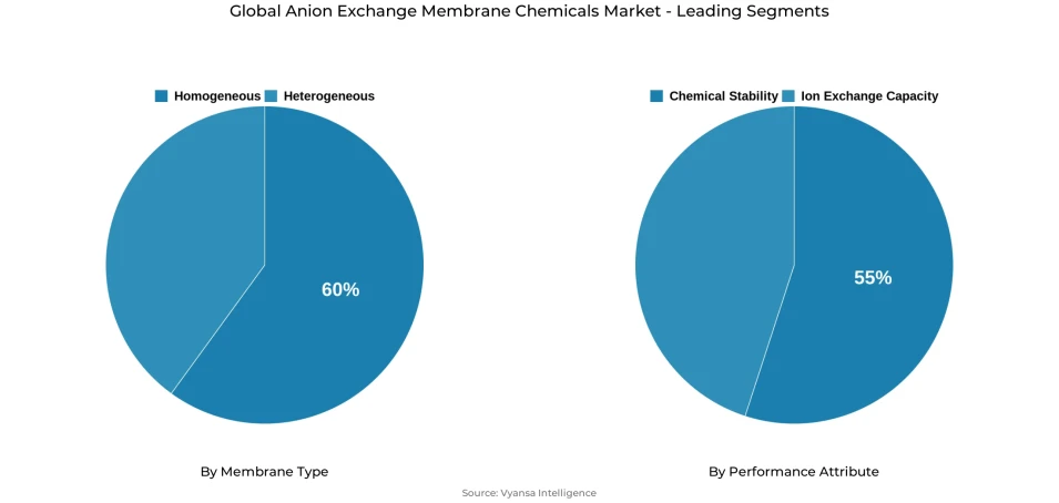 Pie chart showing global anion exchange membrane chemicals market segmentation by membrane type and performance attribute