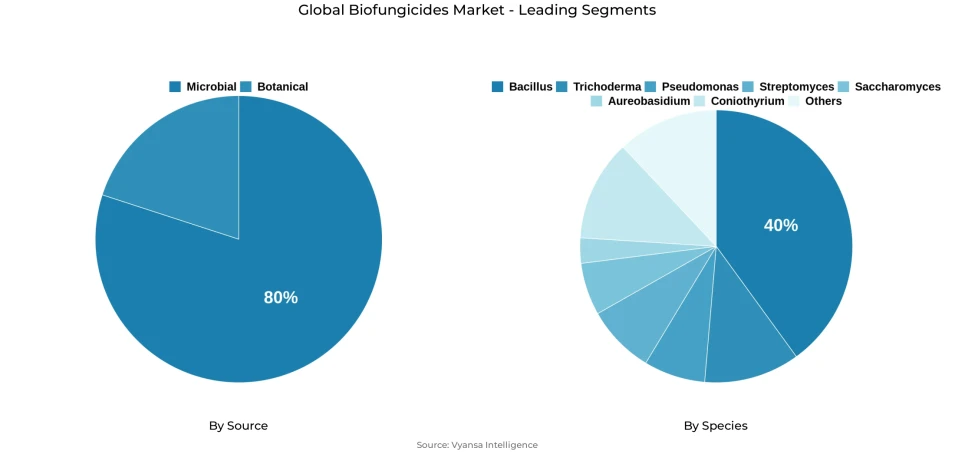 Global biofungicides market segmentation overview Pie chart showing global biofungicides market segmentation by source and species