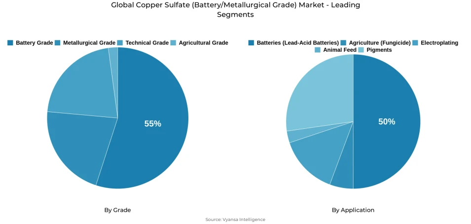 Global copper sulfate (battery/metallurgical grade) market segmentation overview Pie chart showing global copper sulfate (battery/metallurgical grade) market segmentation by grade and application