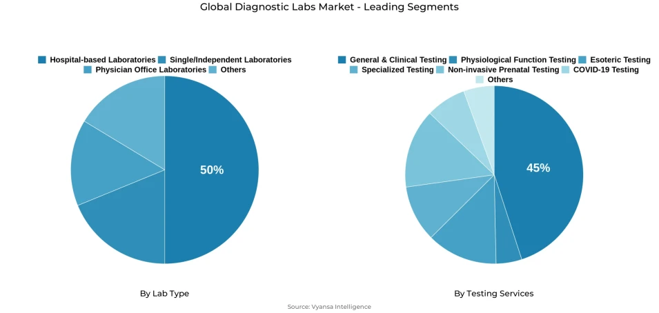 Pie chart showing global diagnostic labs market segmentation by lab type and testing services