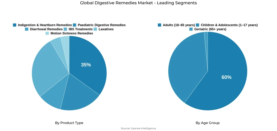 Pie chart showing global digestive remedies market segmentation by product type and age group