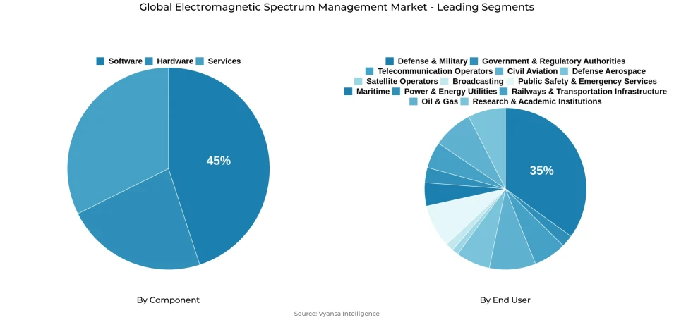 Global electromagnetic spectrum management market segmentation overview Pie chart showing global electromagnetic spectrum management market segmentation by component and end user
