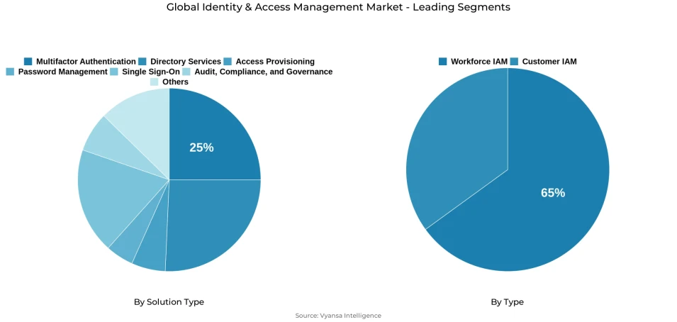 Pie chart showing global identity & access management market segmentation by solution type and type