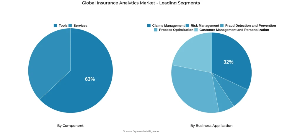 Insurance Analytics Market Segmentation Overview Pie chart showing insurance analytics market segmentation