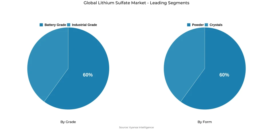 Global lithium sulfate market segmentation overview Pie chart showing global lithium sulfate market segmentation by grade and form
