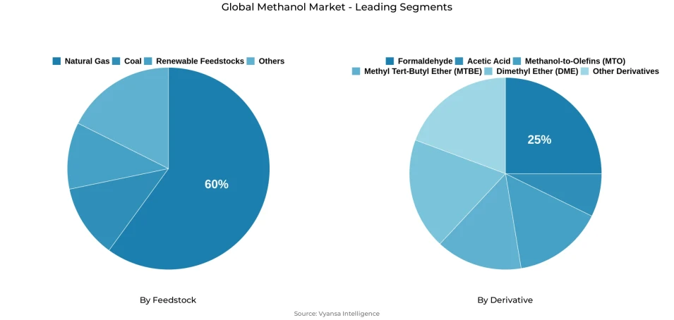 Methanol Market Segmentation Overview Pie chart showing methanol market segmentation