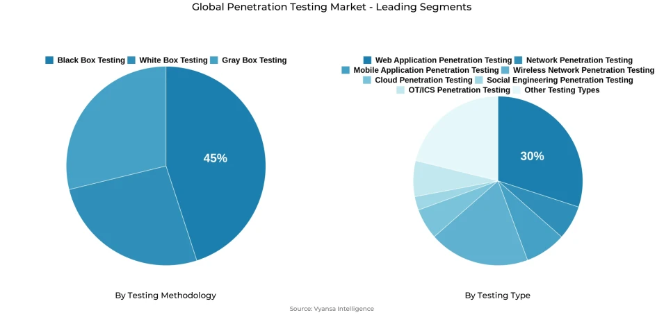 Global penetration testing market segmentation overview Pie chart showing global penetration testing market segmentation by testing methodology and testing type
