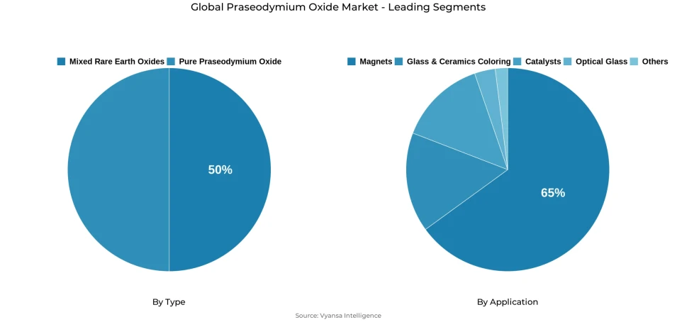 Global praseodymium oxide market segmentation overview Pie chart showing global praseodymium oxide market segmentation by type and application