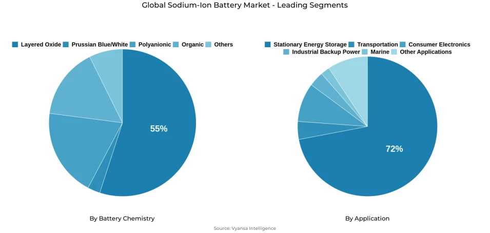 Sodium-Ion Battery Market Segmentation Overview Pie chart showing sodium-ion battery market segmentation