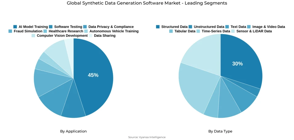 Global synthetic data generation software market segmentation overview Pie chart showing global synthetic data generation software market segmentation by application and data type