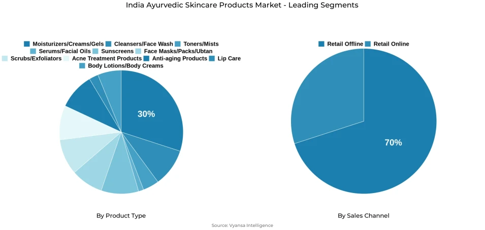 Pie chart showing India ayurvedic skincare products market segmentation by product type and sales channel