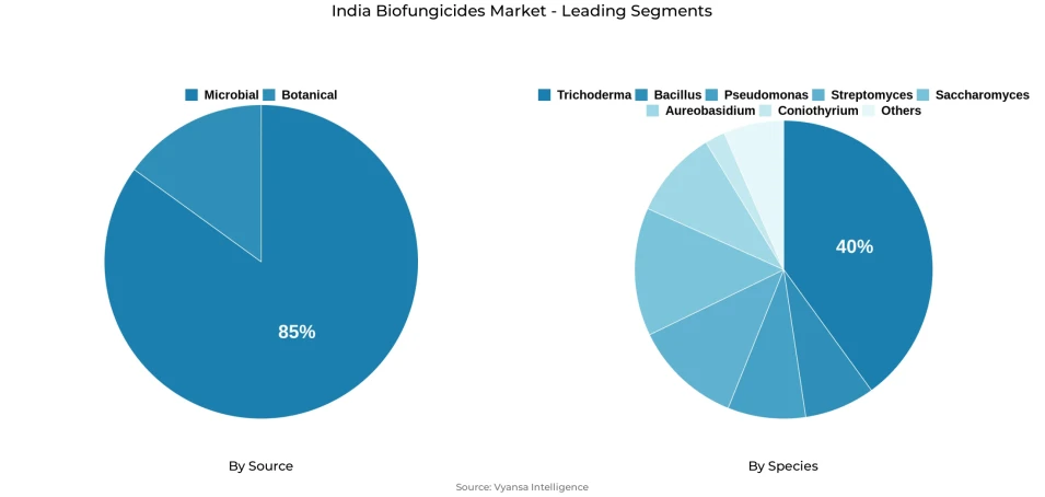 India biofungicides market segmentation overview Pie chart showing India biofungicides market segmentation by source and species