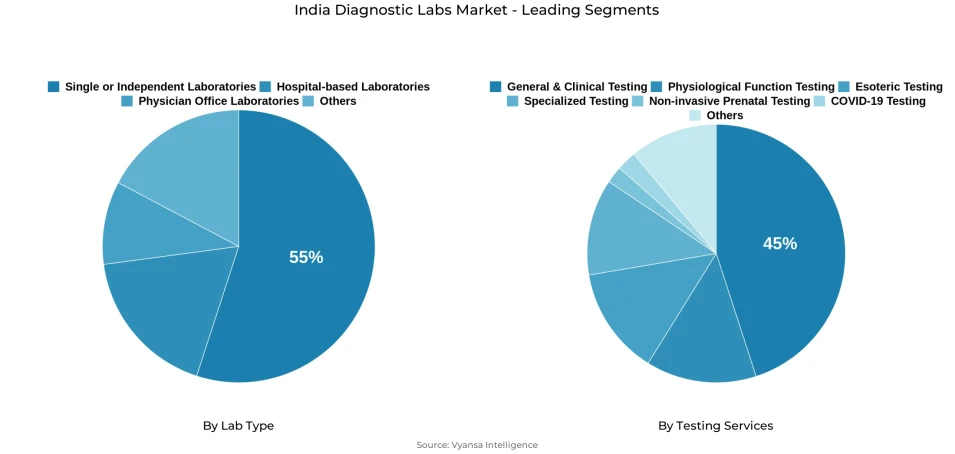 Pie chart showing India diagnostic labs market segmentation by lab type and testing services