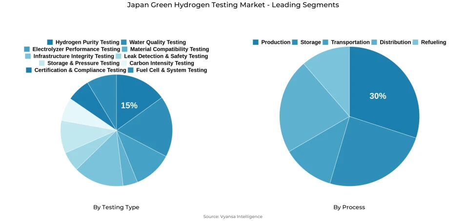 Japan green hydrogen testing market segmentation overview Pie chart showing Japan green hydrogen testing market segmentation by testing type and process