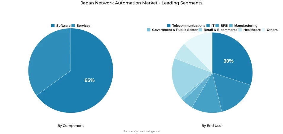 Japan Network Automation Market Segmentation Overview Pie chart showing japan network automation market segmentation