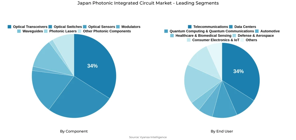 Japan Photonic Integrated Circuit Market Segmentation Overview Pie chart showing japan photonic integrated circuit market segmentation