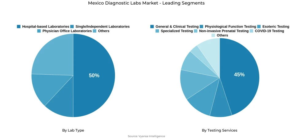 Pie chart showing Mexico diagnostic labs market segmentation by lab type and testing services