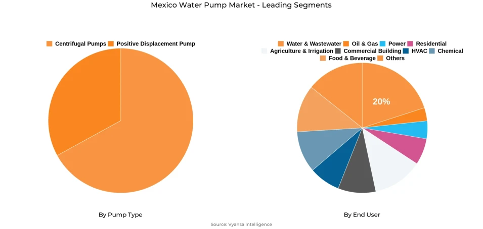 Mexico Water Pump Market Segment