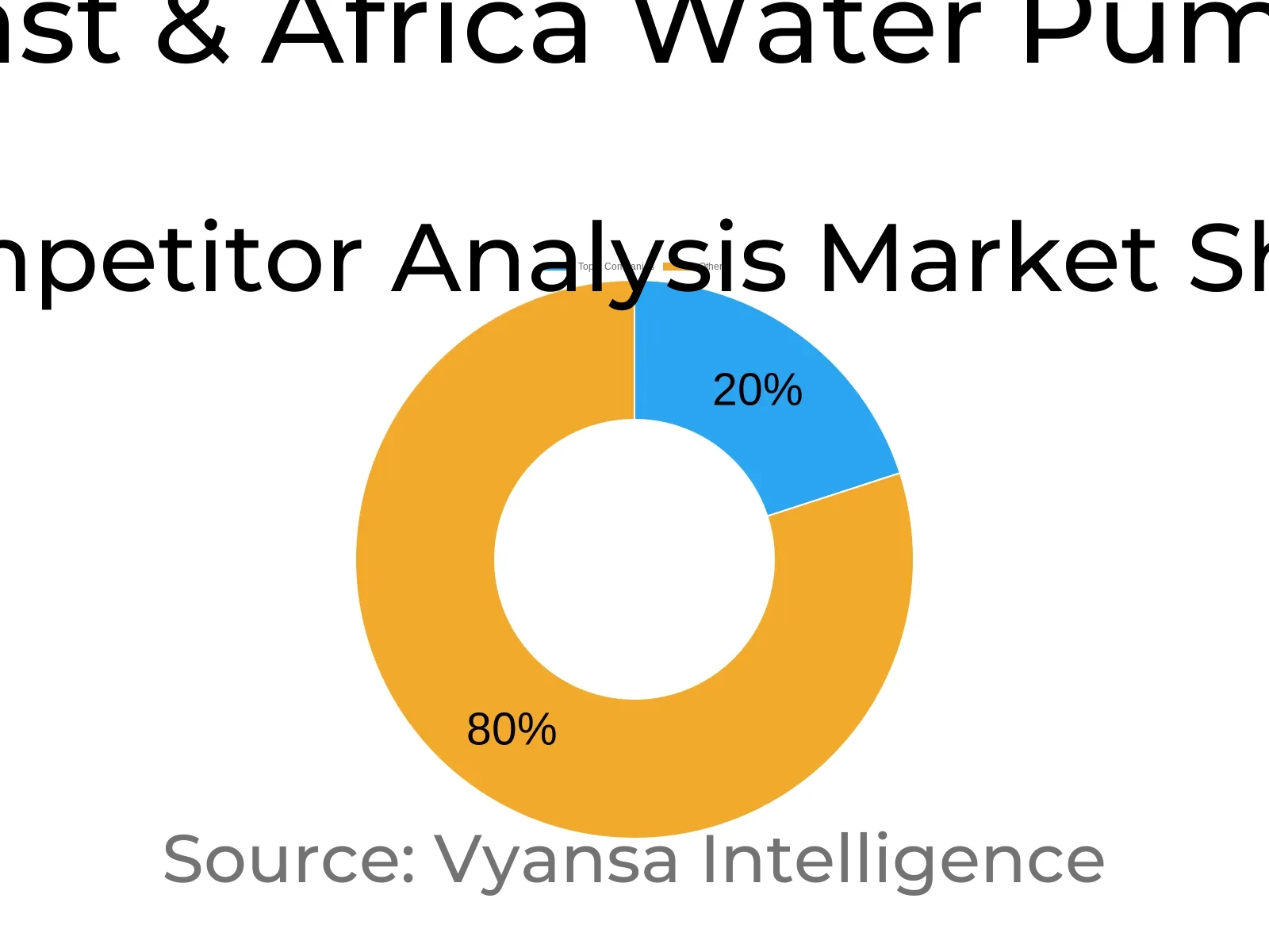 Middle East & Africa Water Pump Market Competative Analysis
