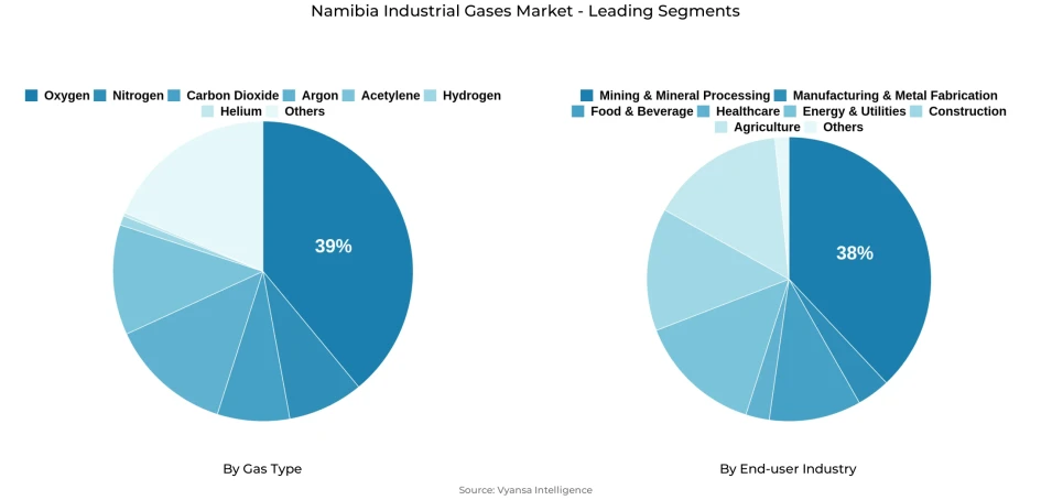 Namibia Industrial Gases Market Segmentation Overview Pie chart showing namibia industrial gases market segmentation