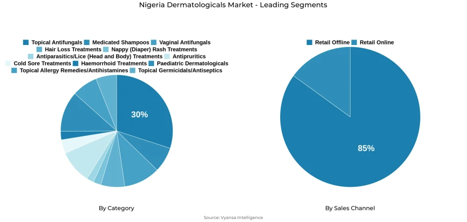 Nigeria dermatologicals market segmentation overview Pie chart showing Nigeria dermatologicals market segmentation by category and sales channel