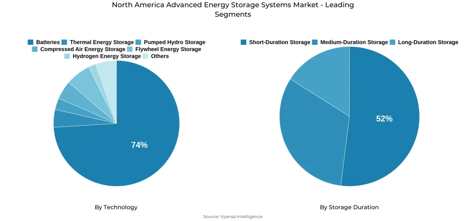 Pie chart showing north america advanced energy storage systems market segmentation