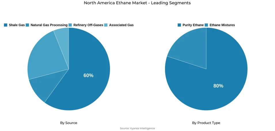 North America ethane market segmentation overview Pie chart showing North America ethane market segmentation by source and product type