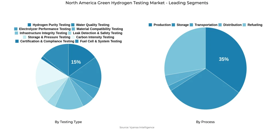 North America green hydrogen testing market segmentation overview Pie chart showing North America green hydrogen testing market segmentation by testing type and process
