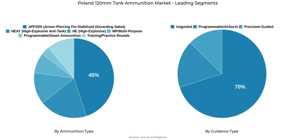 Pie chart showing Poland 120mm tank ammunition market segmentation by ammunition type and guidance type