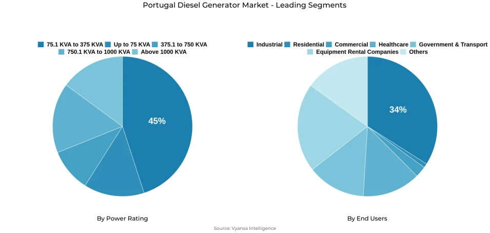 Portugal Diesel Generator Market Segmentation Overview Pie chart showing portugal diesel generator market segmentation